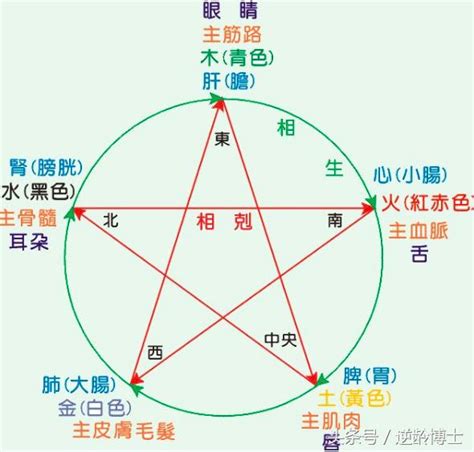 怎麼知道自己的五行屬性|五行測試：你屬哪一行？